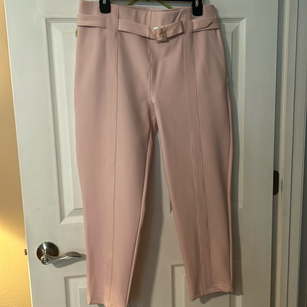 Betabrand XL petite Lite Pink Pants - Picture 1 of 4